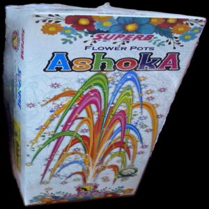 Flower Pots Asoka